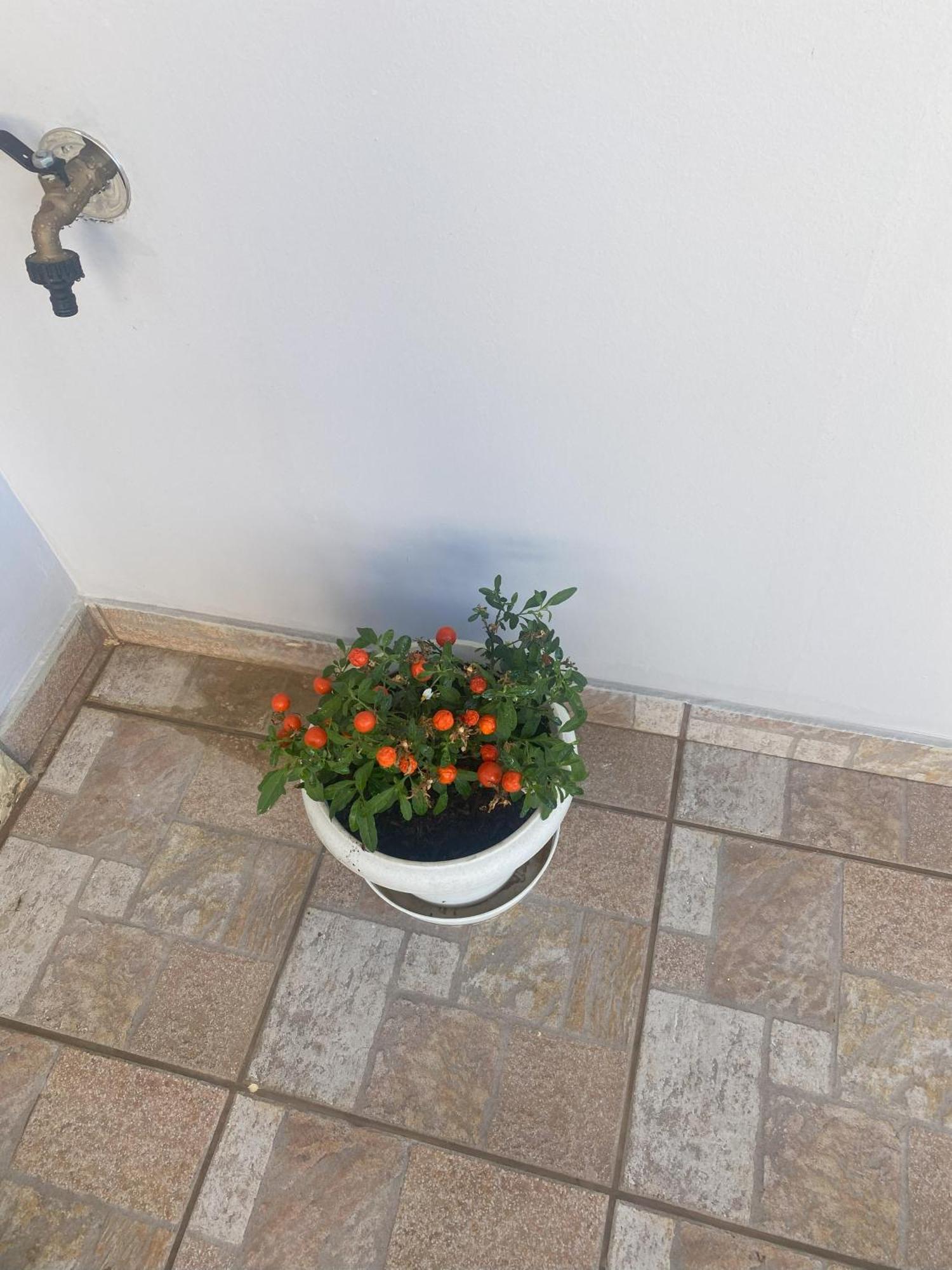 New Unique Apartment In Heraklion Dış mekan fotoğraf