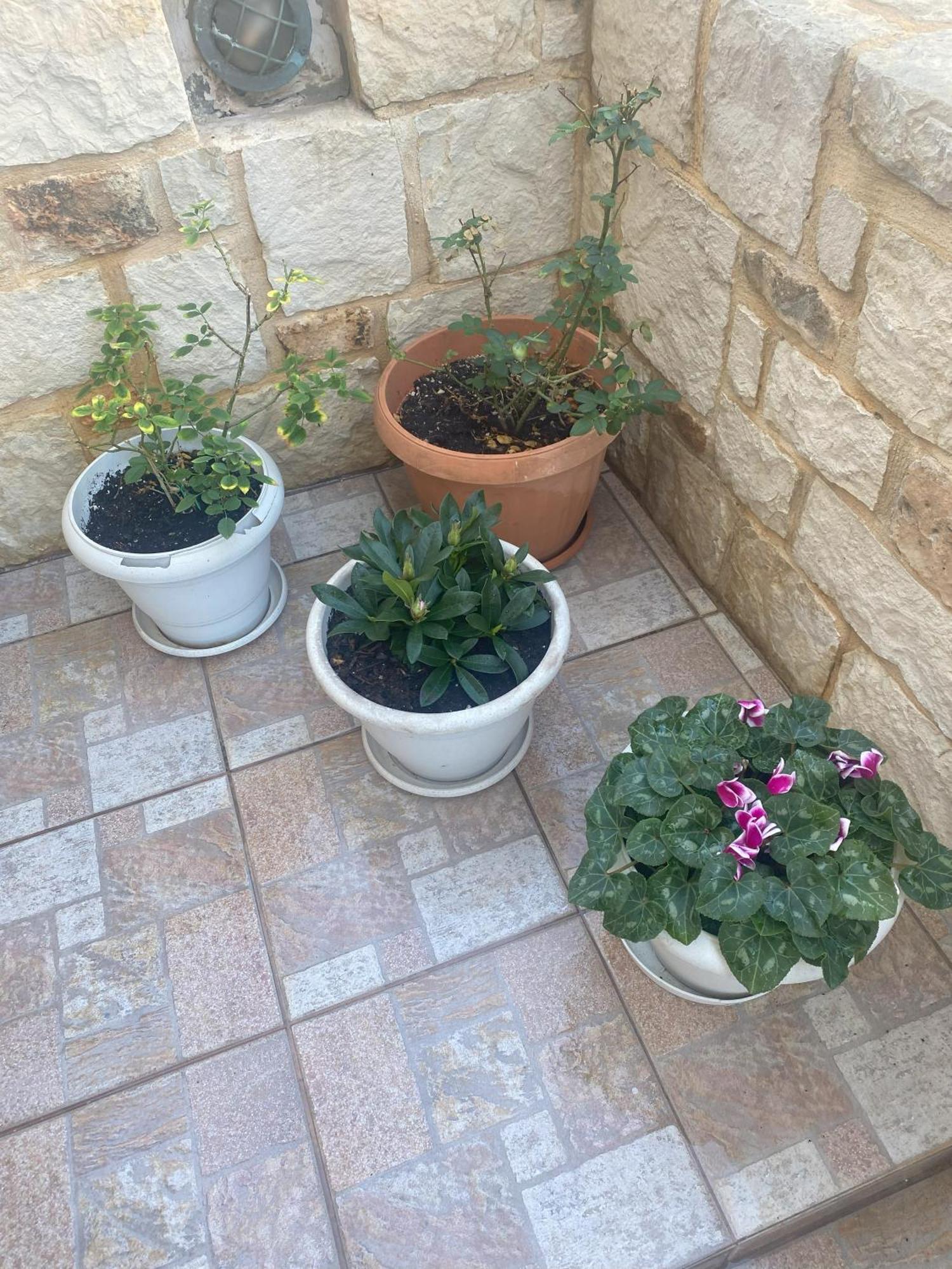 New Unique Apartment In Heraklion Dış mekan fotoğraf